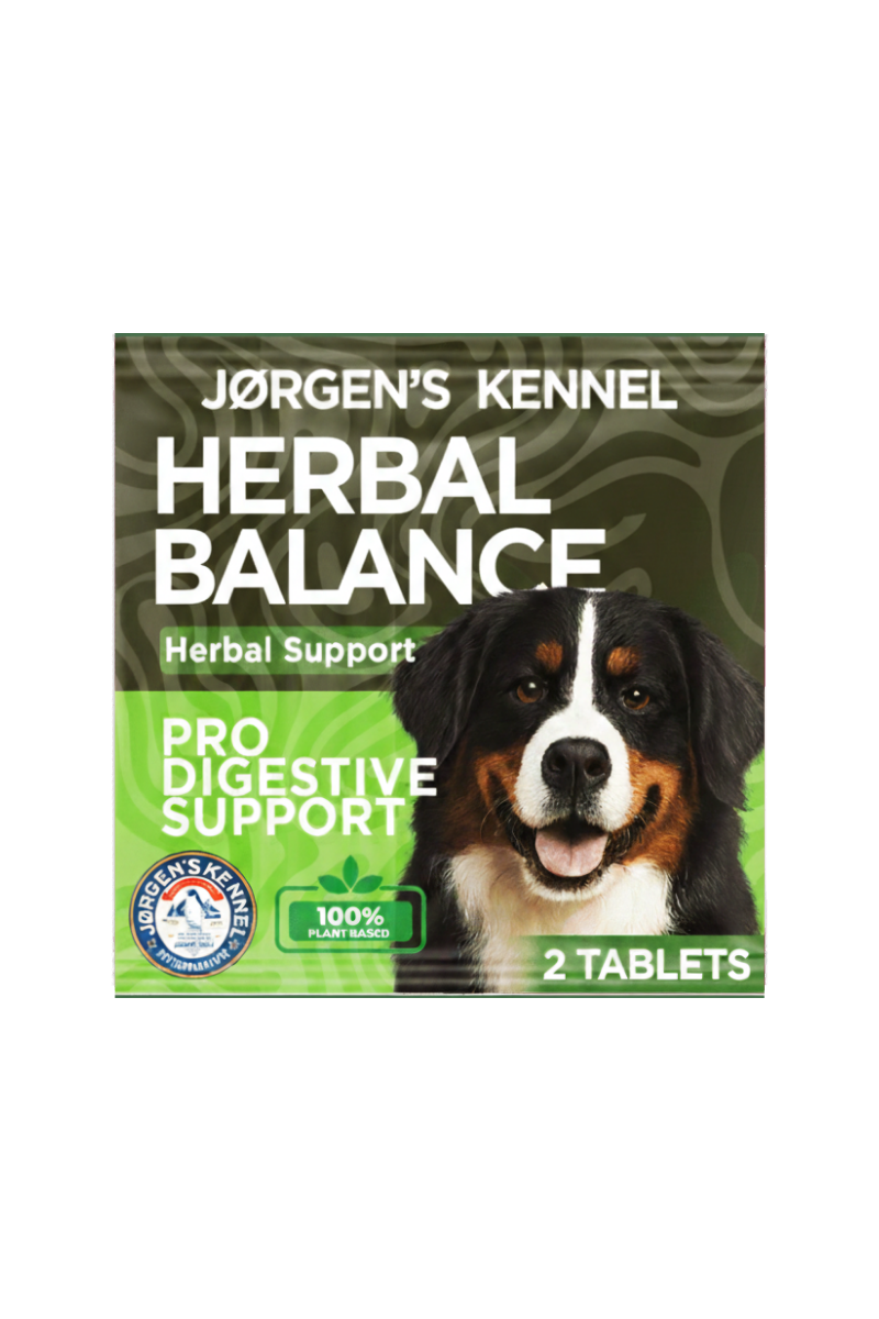 Herbal Digestive Balance Servings for Dogs | Plant-Based Botanical Formula · 2 Servings