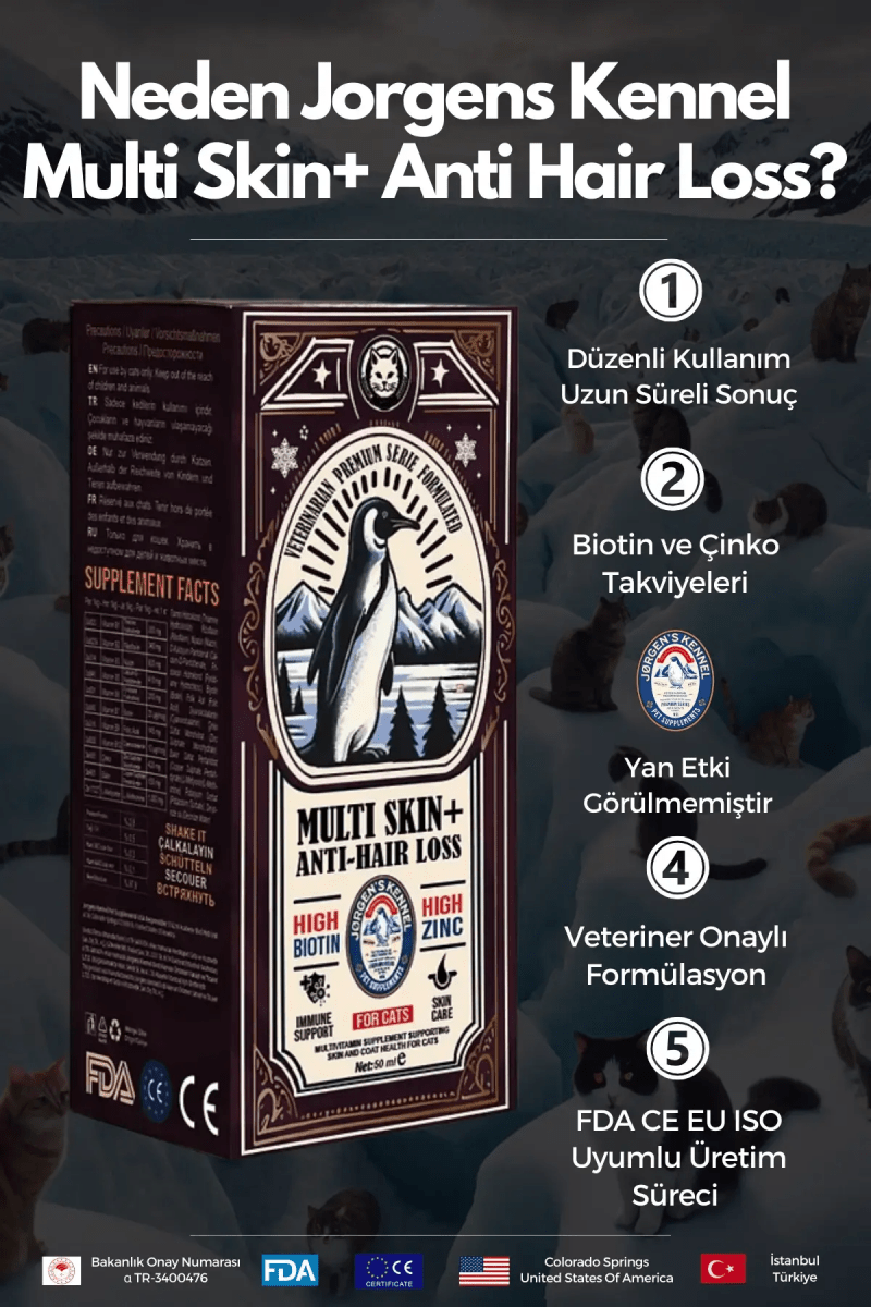 Multi Skin+ Cat Shedding Support Drops 50ml | Biotin + B-Complex