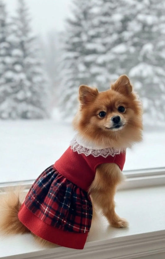 Kedi Köpek Yılbaşı Kıyafeti Ekose Yılbaşı Elbisesi