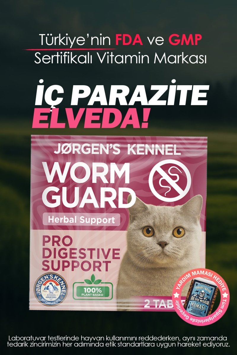 Internal Parasite Herbal Support for Cats (2 Tablets) | Plant-Based Digestive Support