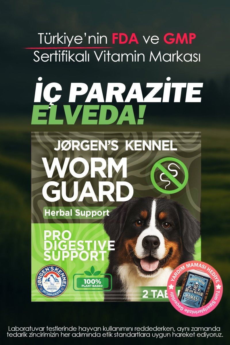 Internal Parasite Herbal Support for Dogs (2 Tablets) | Plant-Based Digestive Support